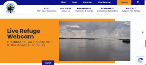 article image - 